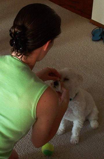 Casper doing a trick!