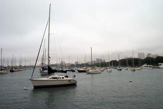 Marina across from Navy Pier!