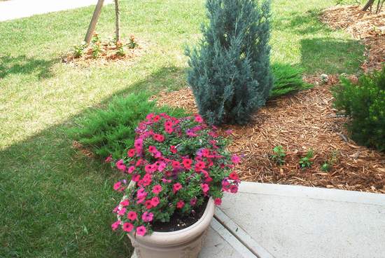 No witty comments this time!