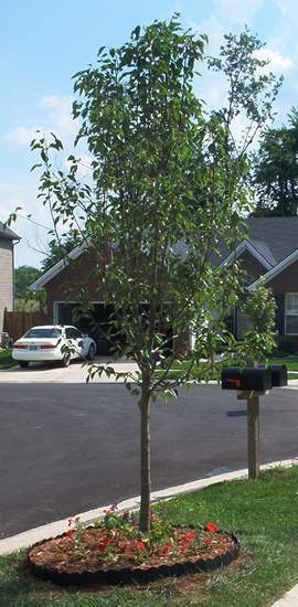 I guess I'm assuming I'm witty.