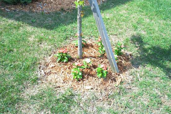 I told you no comments!