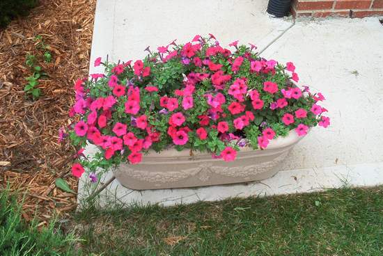 I guess I could come up with just one comment.