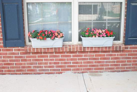 Sorry, I can't. Plants are just too boring!