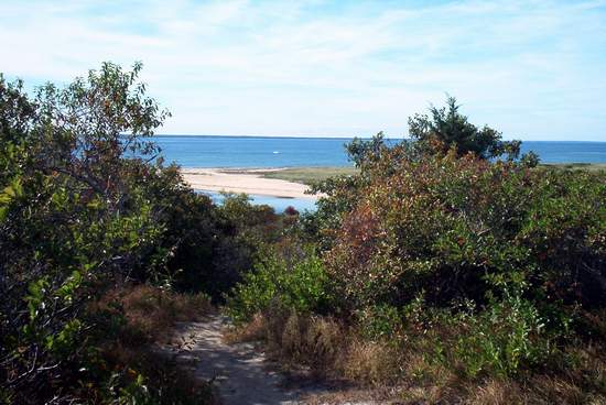The way to the first beach we visited!