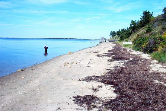 This place was really secluded!