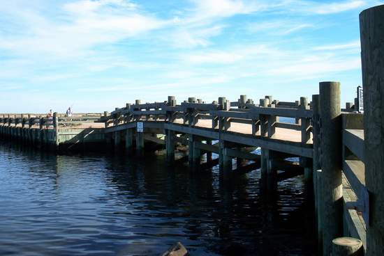 They actually replaced the bridge to make it a little safer for certain inhabitants!