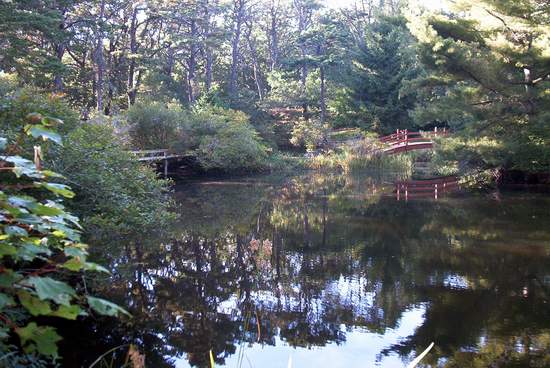 There were a couple of nice bridges along the trail!