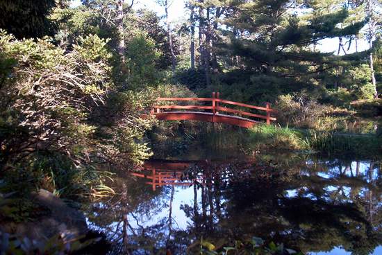 A close shot of the bridge!