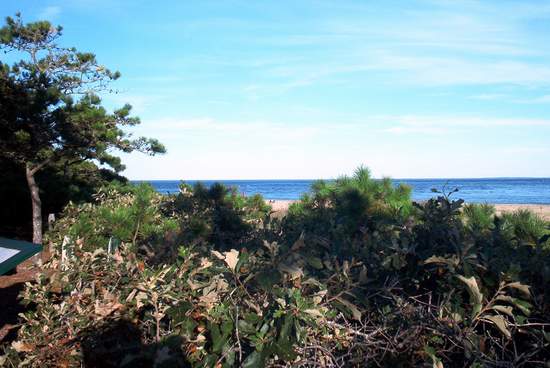 This is another beach we visited!
