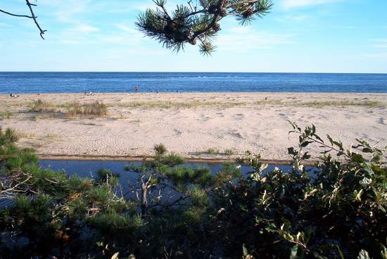 There were signs posted that banned swimming.  Must be rough water!