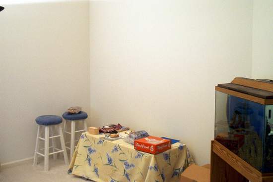 A view of the room before painting!