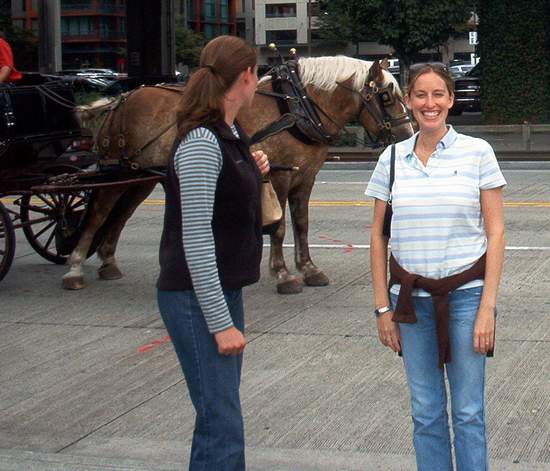 That horse just relieved itself!