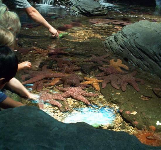 Touching things inside the aquarium!