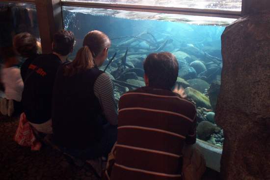 Brock and Amy enjoying the otters!