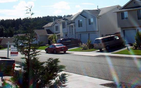 The neighborhood.