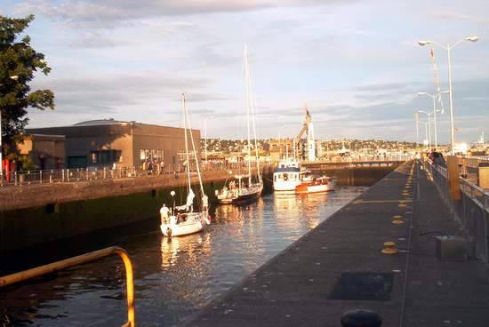 Another shot of the boats!