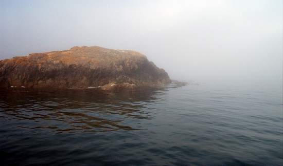 It got a little foggy!