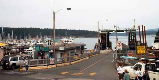 Looking out at the harbor!