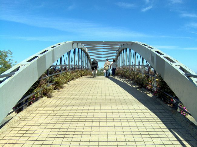 Cool bridge on our way to the Lake!