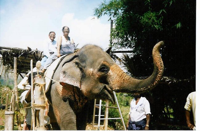 Mom and Dad riding an elephant!