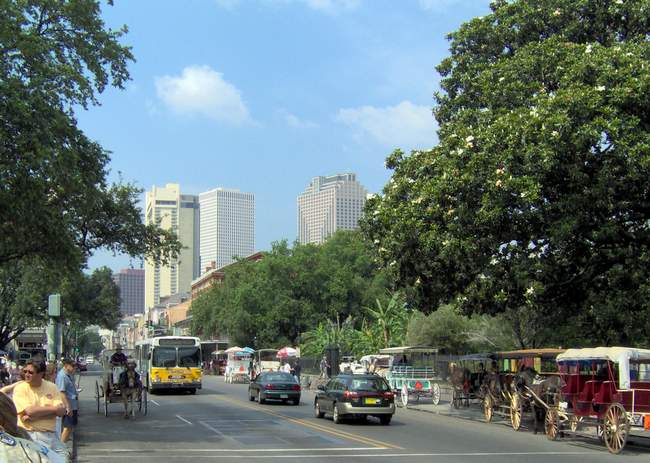 That's the downtown area in the background!