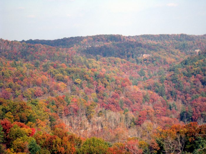 The colors were stunning!