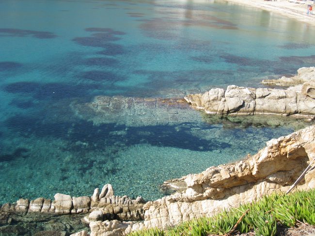 The water was really clear!