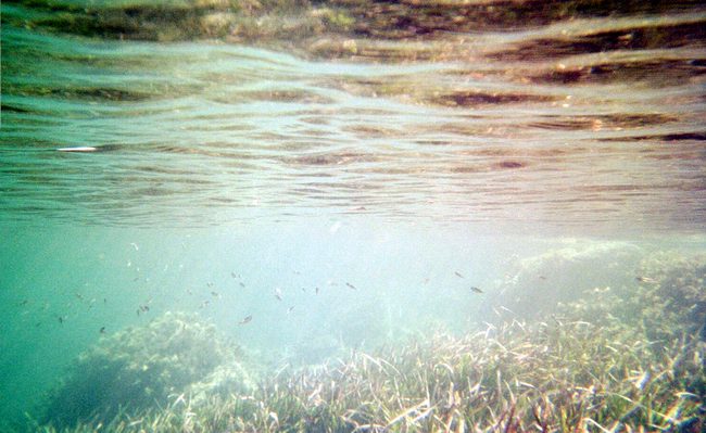 Clear water!