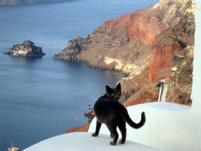 Santorini Cat sez, 'Da voo iz booty fll!