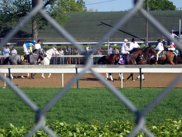 The horses are heading for the gate!