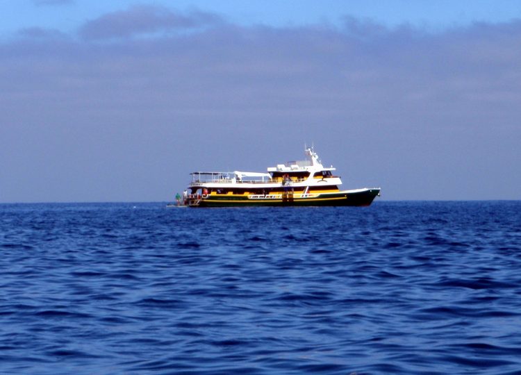If the raft sinks, its a long and dangerous swim back to the boat!  I guess its best to swim to shore!