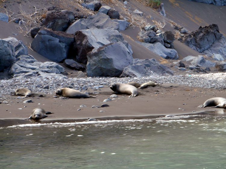They seem really relaxed considering what's waiting for them in the water!