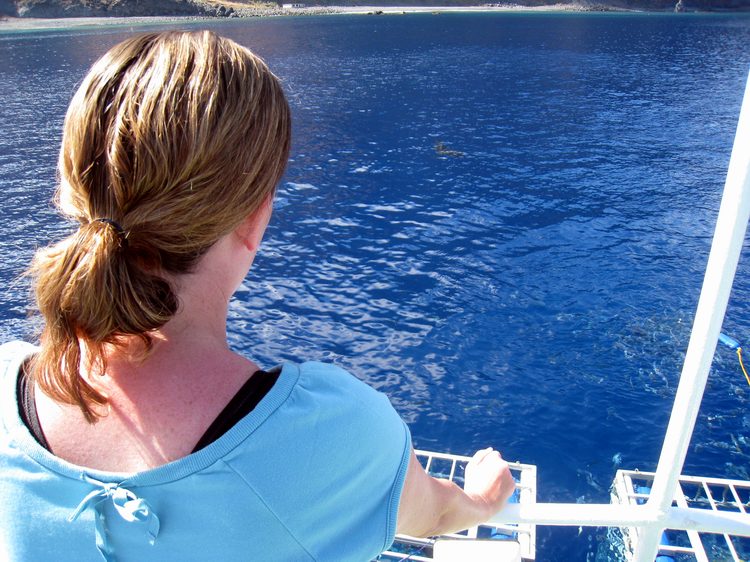 Jen looking for the sharks!  There's actually one in the shot but its hard to see!