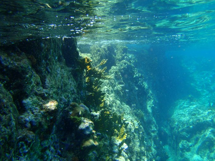 I had never snorkeled along underwater cliffs before!