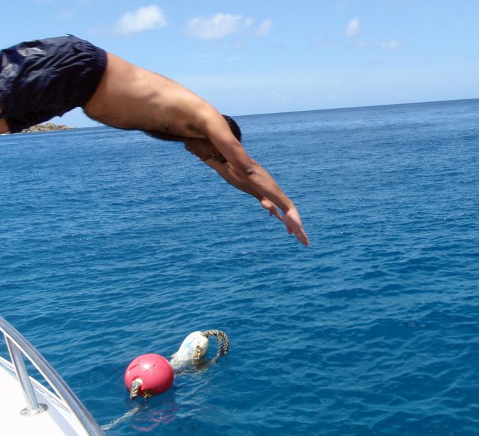Another dive!