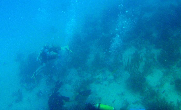 I went out pretty far!  These people were learning to scuba dive!