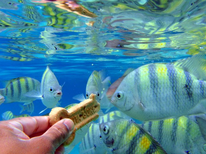 This just may spoil me on snorkeling forever!