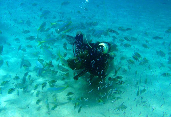 Scuba diver getting swarmed!
