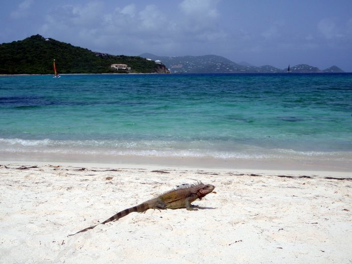 I can see why they like hanging out here!