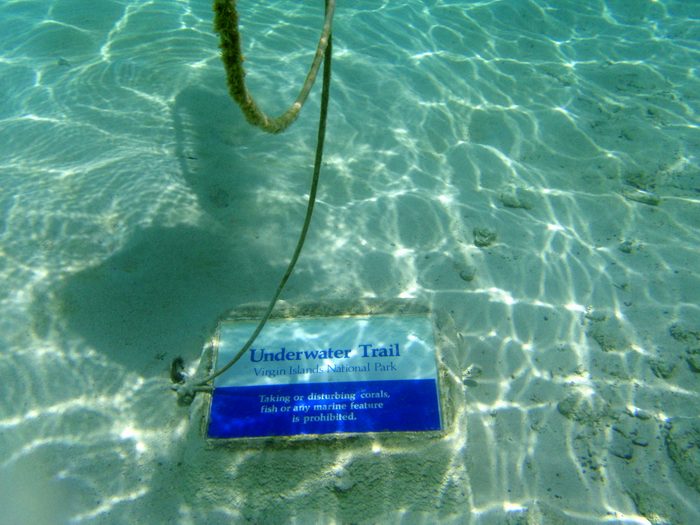 Jen researched the beach and found out there was a snorkel trail!