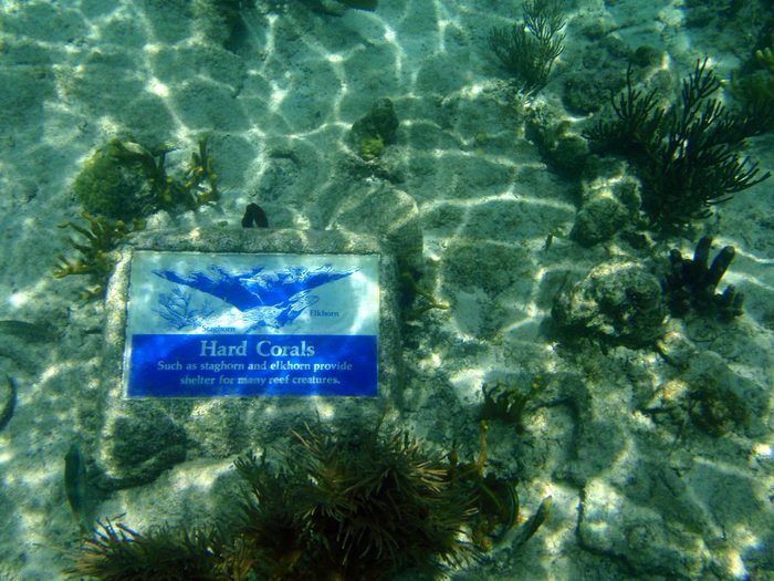 I hope this sign doesn't mean the coral have lost compassion for their fellow coral!