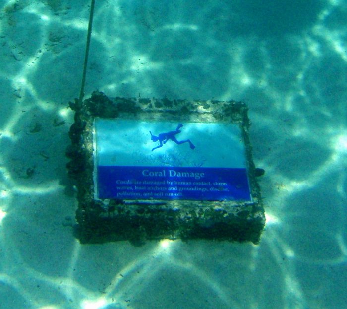 Oops.  I guess that's hopw the coral got broken!