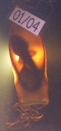 Birth of a killer!  Just kidding, sharks are our friends!