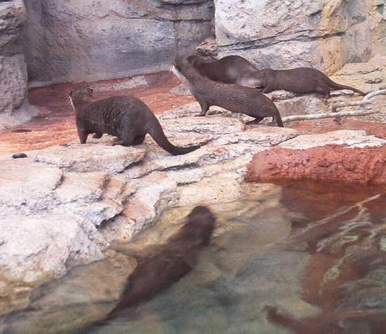 What are these guys looking at?