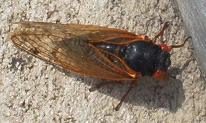 Recognize this, Andrew?  I bet not!