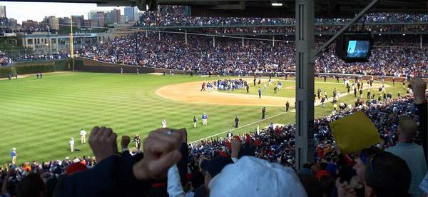 The cubs celebrate!