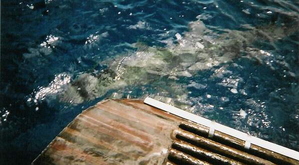 We're going to need a bigger boat!