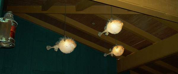 Lillian really liked the fish lights.